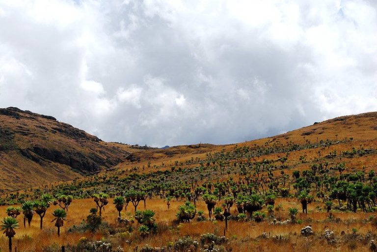 6 Days Mount Elgon & Sipi Falls Uganda