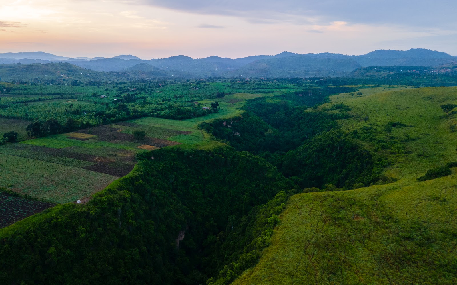 Green Ugandan hill country from the air at dusk: a forested gorge cutting through rolling grass-covered hills, with cultivated fields and scattered homesteads on the left and blue mountains along the horizon.