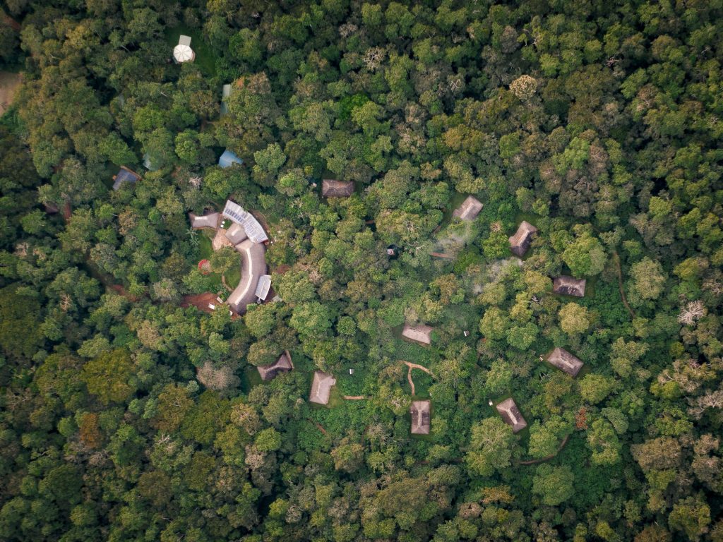 An aerial view of a lodge and its scattered thatched cottages under rainforest canopy