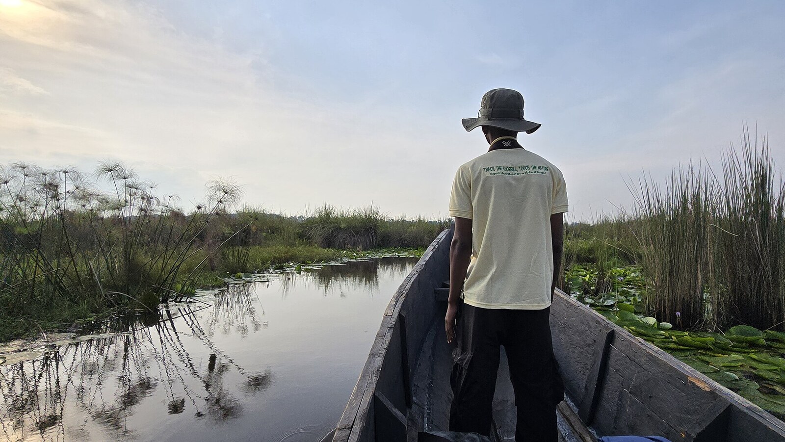 A local guide standing in the bow of a wooden dugout canoe, poling through a papyrus channel