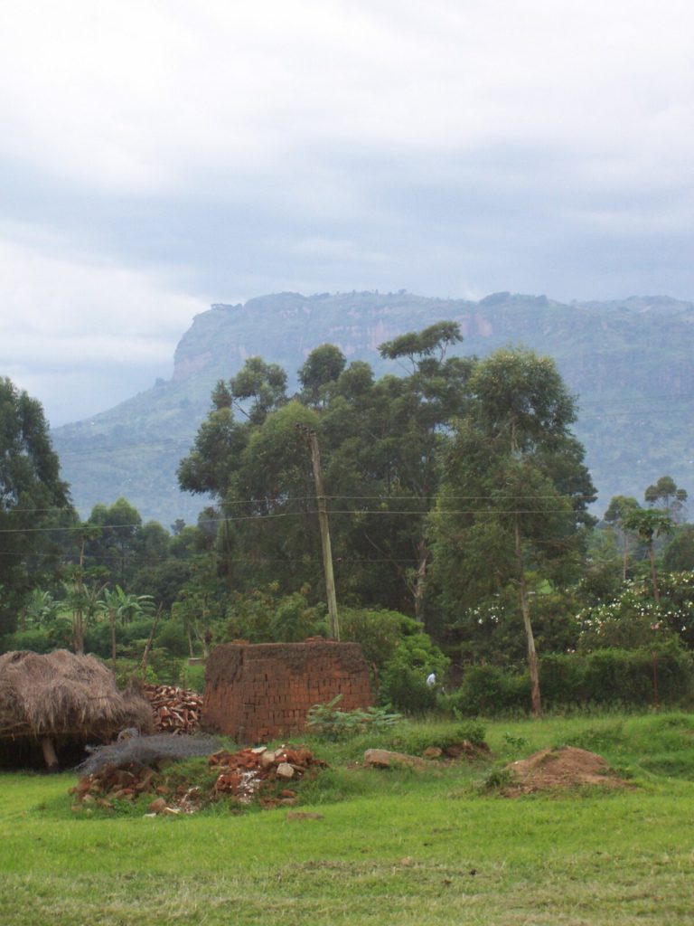 Rural Mbale — a brick kiln and thatched store in a green compound, banana gardens and tall