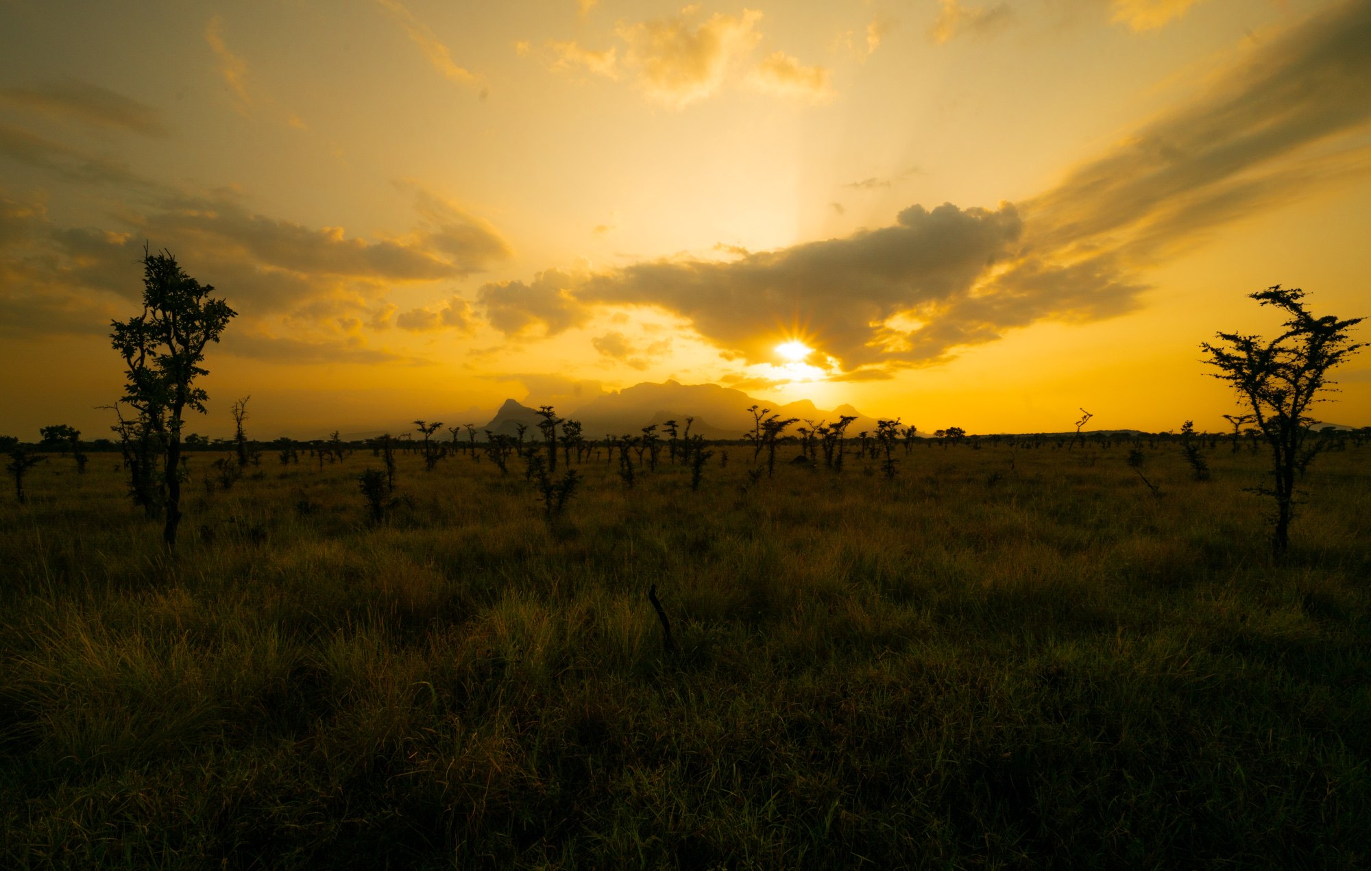 The sun setting through cloud over open savanna and scattered acacia trees in Uganda