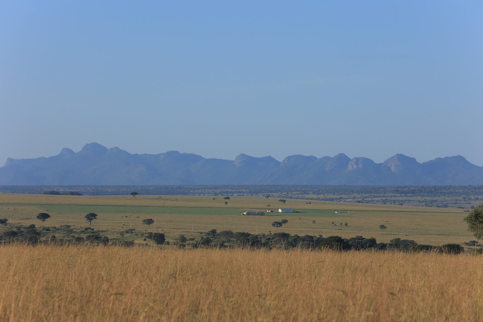 Dry golden grassland in the foreground running out to a flat plain and a long jagged mountain range in the haze beyond