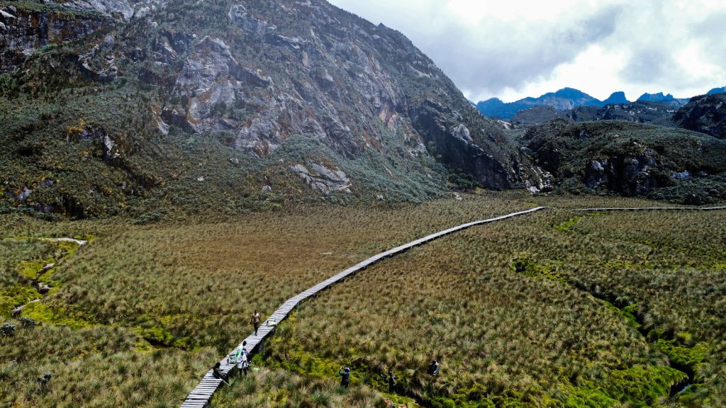 A raised wooden boardwalk winding across a high-altitude tussock bog in the Rwenzori mountains, with walkers on it and rock walls and peaks above