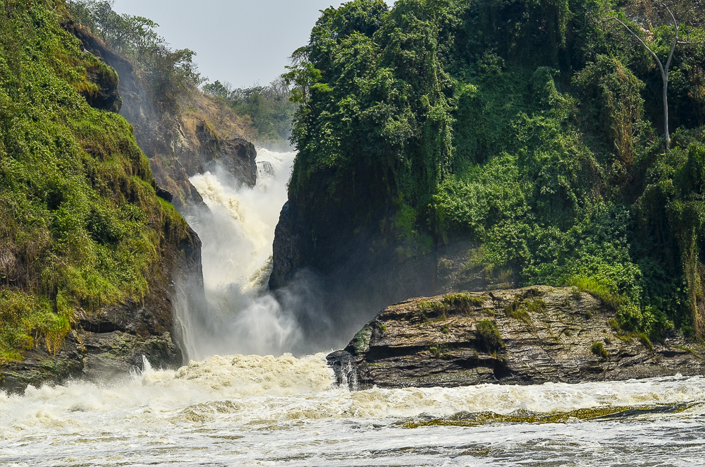 The Nile forcing through the narrow rock gap of Murchison Falls in a wall of white water, with steep green banks either side