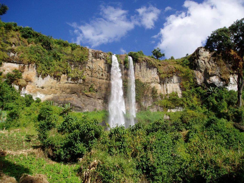 Two ribbons of water fall from the lip of a long cliff at Sipi Falls, with banana gardens and smallholder plots on the green slopes below.