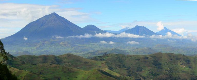 7 Days Mount Mgahinga Gorillas, Golden Monkey and Volcano Hike