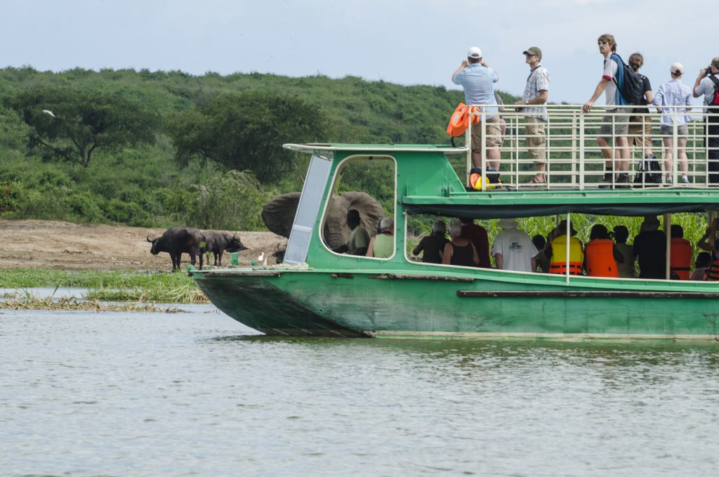 A green passenger launch on the Kazinga Channel with visitors on the upper deck, elephant and buffalo on the far bank