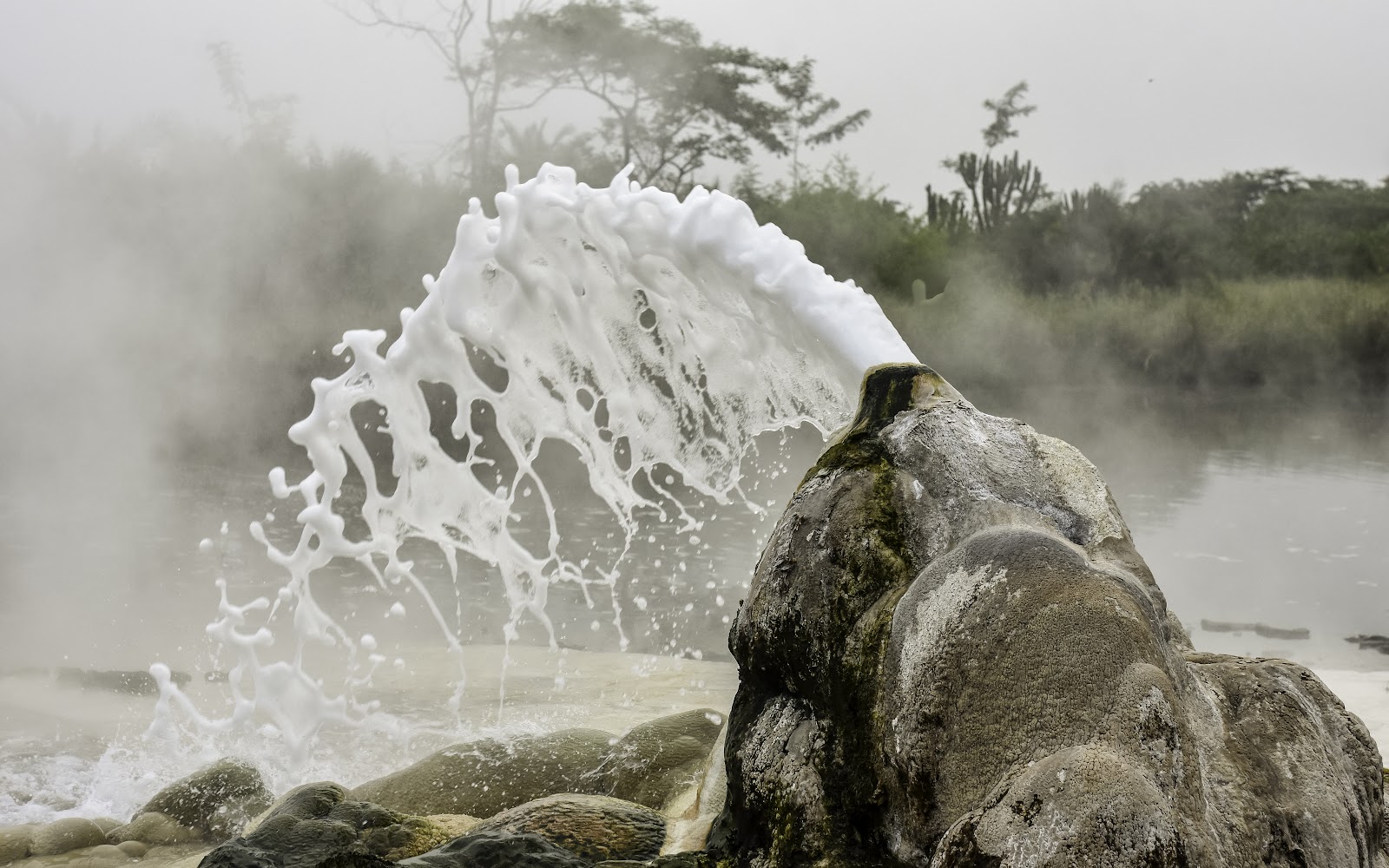 A jet of boiling water bursting from a rock mound at the Sempaya hot springs, steam rising around it