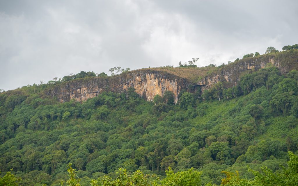 A long rock escarpment above steep forested slopes under a grey sky