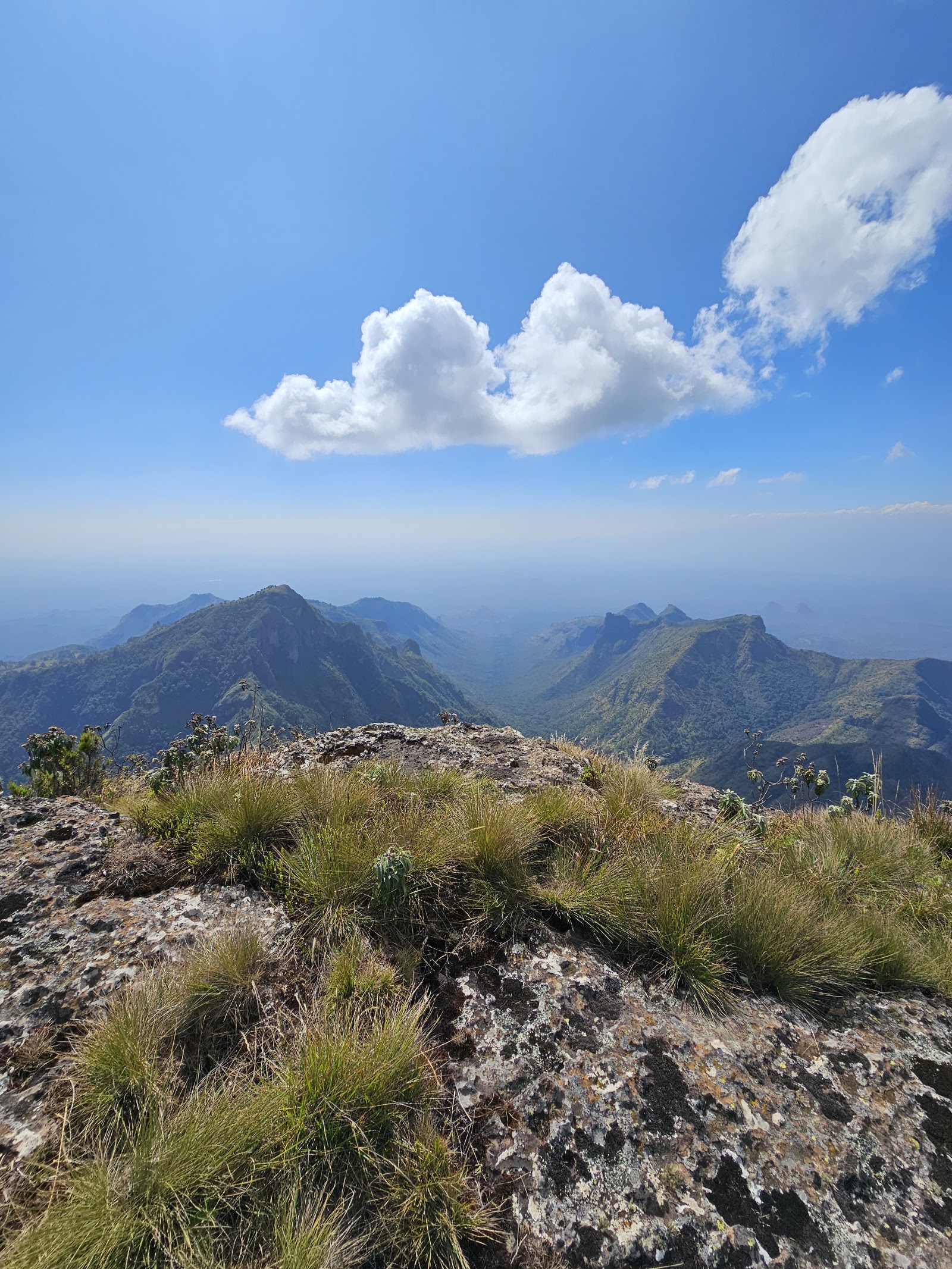 The jagged green ridges of Mount Moroto in Karamoja seen from a lichen-covered rock summit, tussock grass in the foreground
