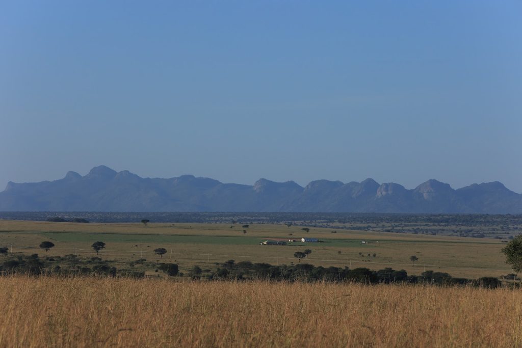 The Narus valley stretching to a jagged blue mountain range on the horizon under a clear sky