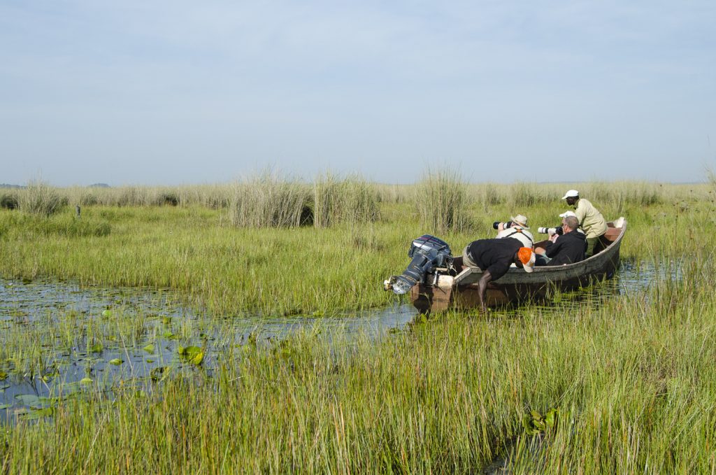 Two people in a narrow motorised canoe pushing through papyrus and open channels in a Ugandan wetland